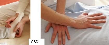 Quelle: "Gesellschaft für Shiatsu in Deutschland" GSD - Shiatsu